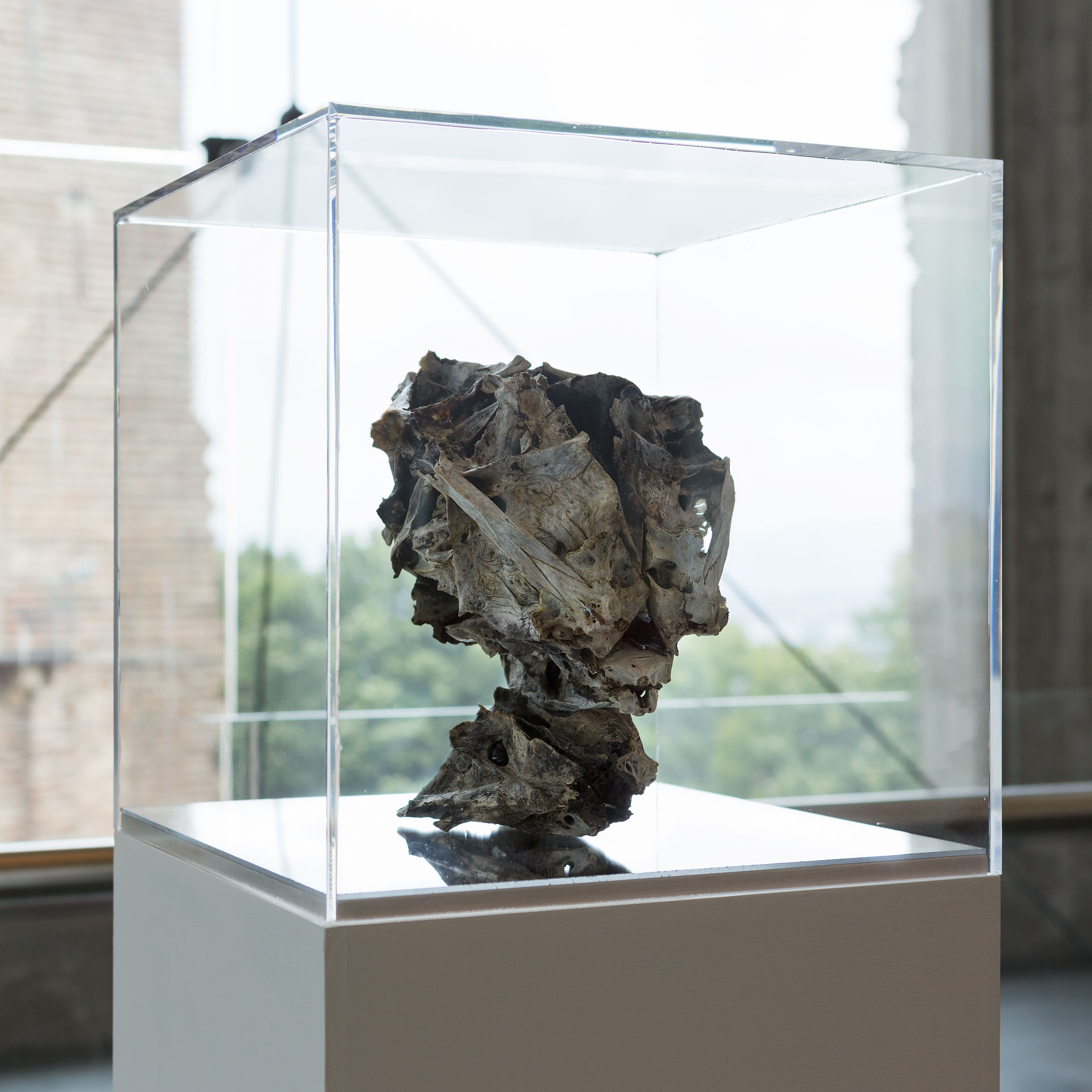 Giorgio Andreotta Calu00f2, Senza titolo, 2014